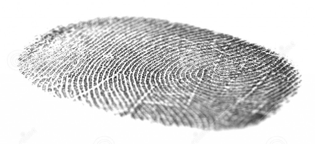 Innenministerium veröffentlicht umfassende Studie zum Thema Identitätskriminalität